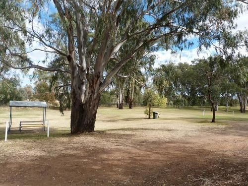 Narrabri Big Sky Caravan Park Eksteriør bilde
